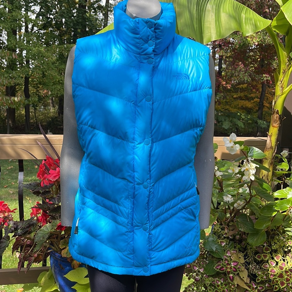The North Face Blue Puffer Vest